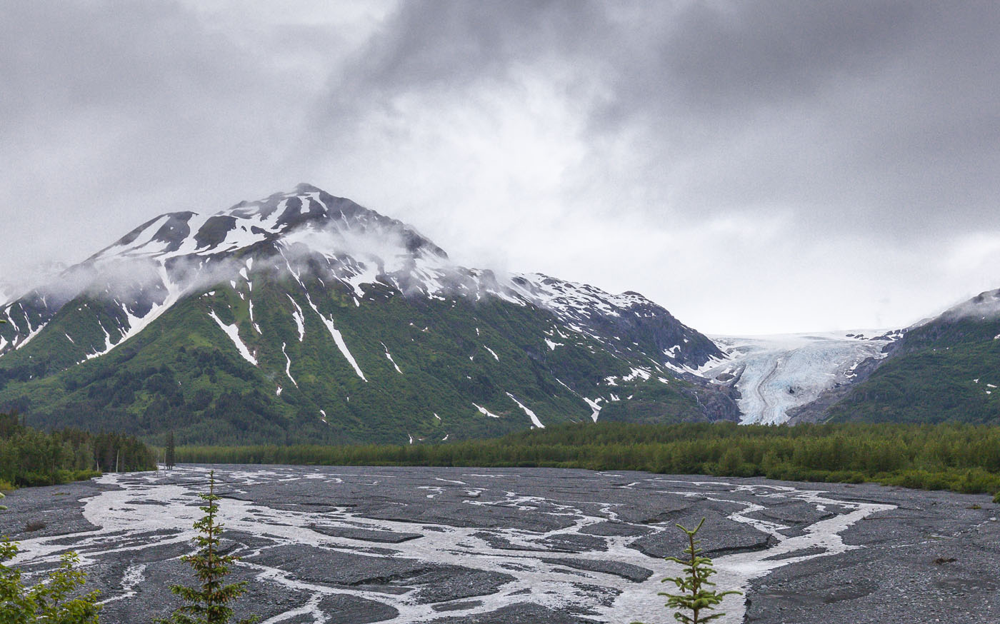 The Kenai Peninsula Our Walkabout Two   KenaiPeninsula 9717 